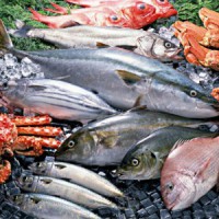 2020上海国际水产海鲜展|开创全球渔业博览饕餮盛